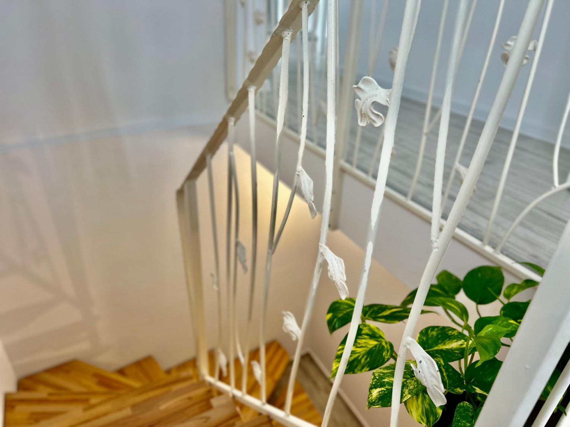 Blue Boho Boutique Villa บราชอฟ ภายนอก รูปภาพ